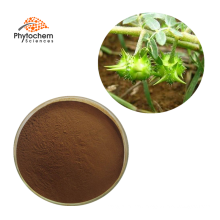 bulk 90% saponins 40% protodioscin tribulus terrestris p.e. extract powder tribulus terrestris